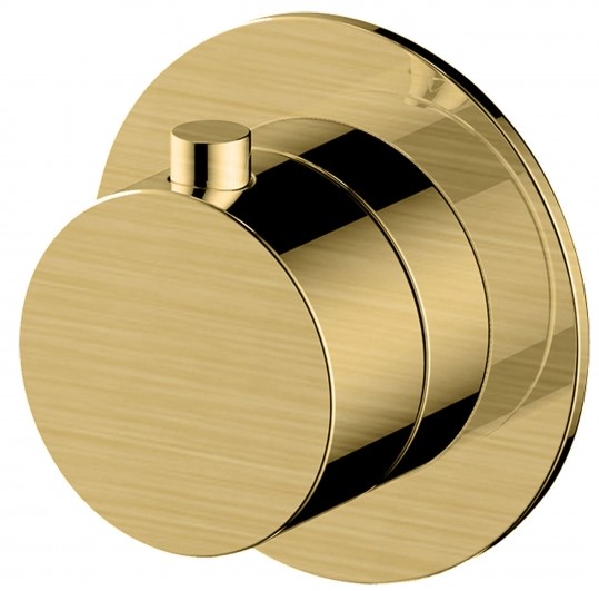 RAK-Petit Round Concealed Diverter, Dual Outlet in Brush Gold