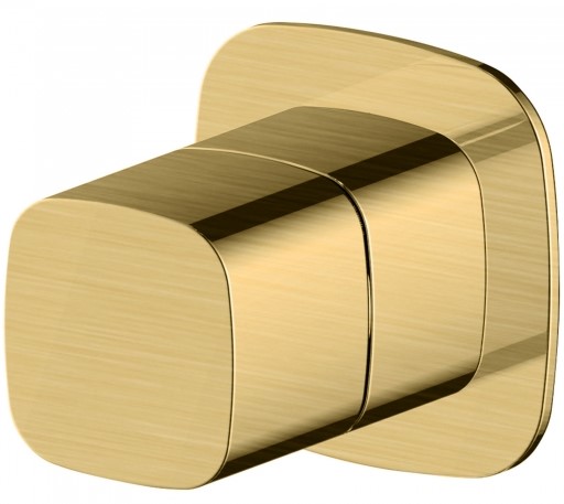 RAK-Petit Square Concealed Diverter, Dual Outlet in Brush Gold