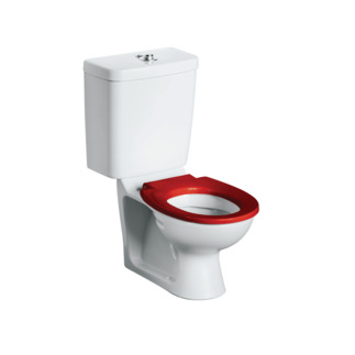Contour 21 Schools 305mm high close coupled and back to wall toilet bowl