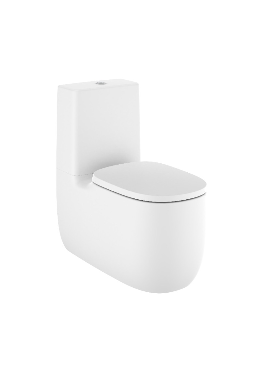 Back to wall vitreous china close-coupled Rimless WC with dual outlet MATT WHITE