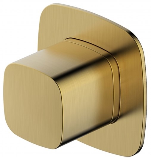 RAK-Petit Square Concealed Diverter, Single Outlet in Brush Gold