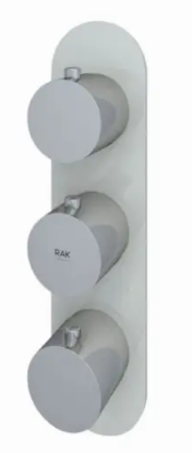 RAK-Feeling Round Dual Outlet Thermostatic Concealed Shower Valve in Cappuccino